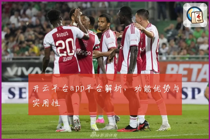 开云平台app平台解析，功能优势与实用性