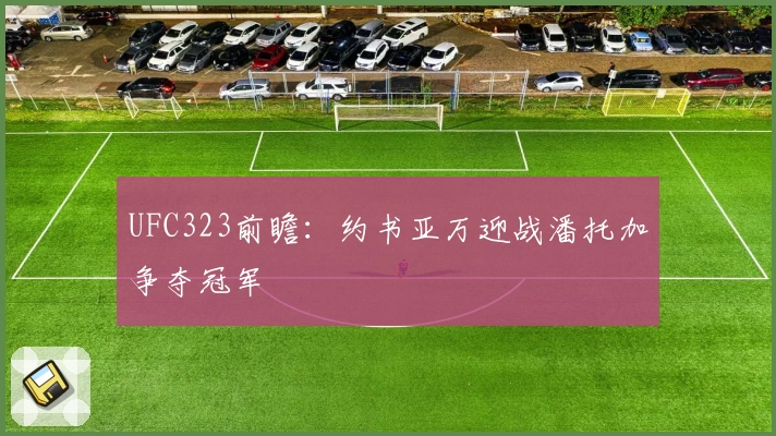 UFC323前瞻：约书亚万迎战潘托加争夺冠军