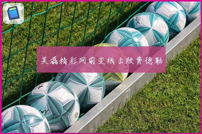 吴磊精彩网前变线击败费德勒