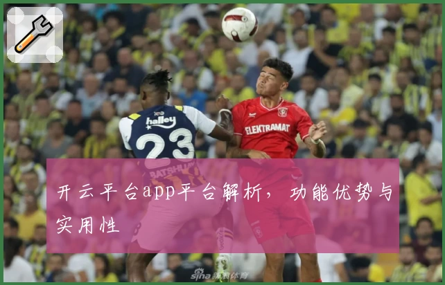 开云平台app平台解析，功能优势与实用性